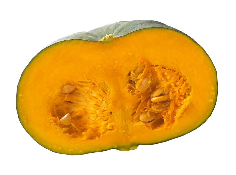 カボチャの写真